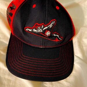 Richmond Flying Squirrel Official Baseball Hat